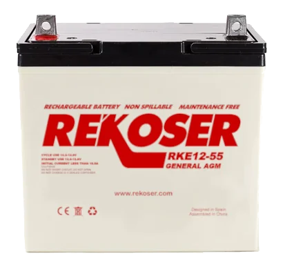 RHP12-55 – 12 V 55 Ah AGM battery